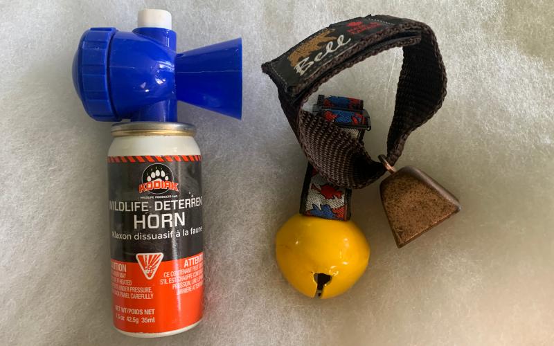 Bear safety know how and when to use bear spray ZenSeekers